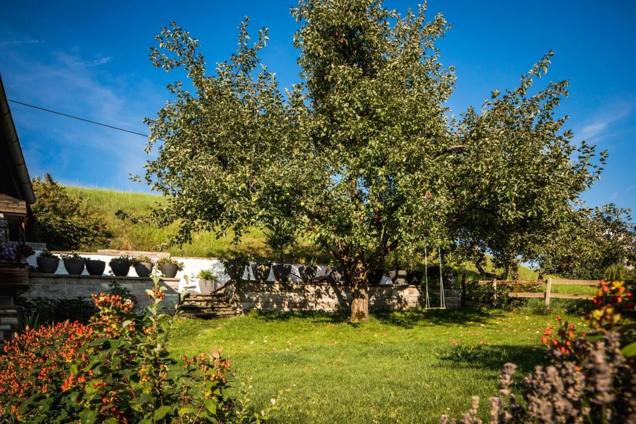 Appartamento Haus Bichler Kössen Esterno foto
